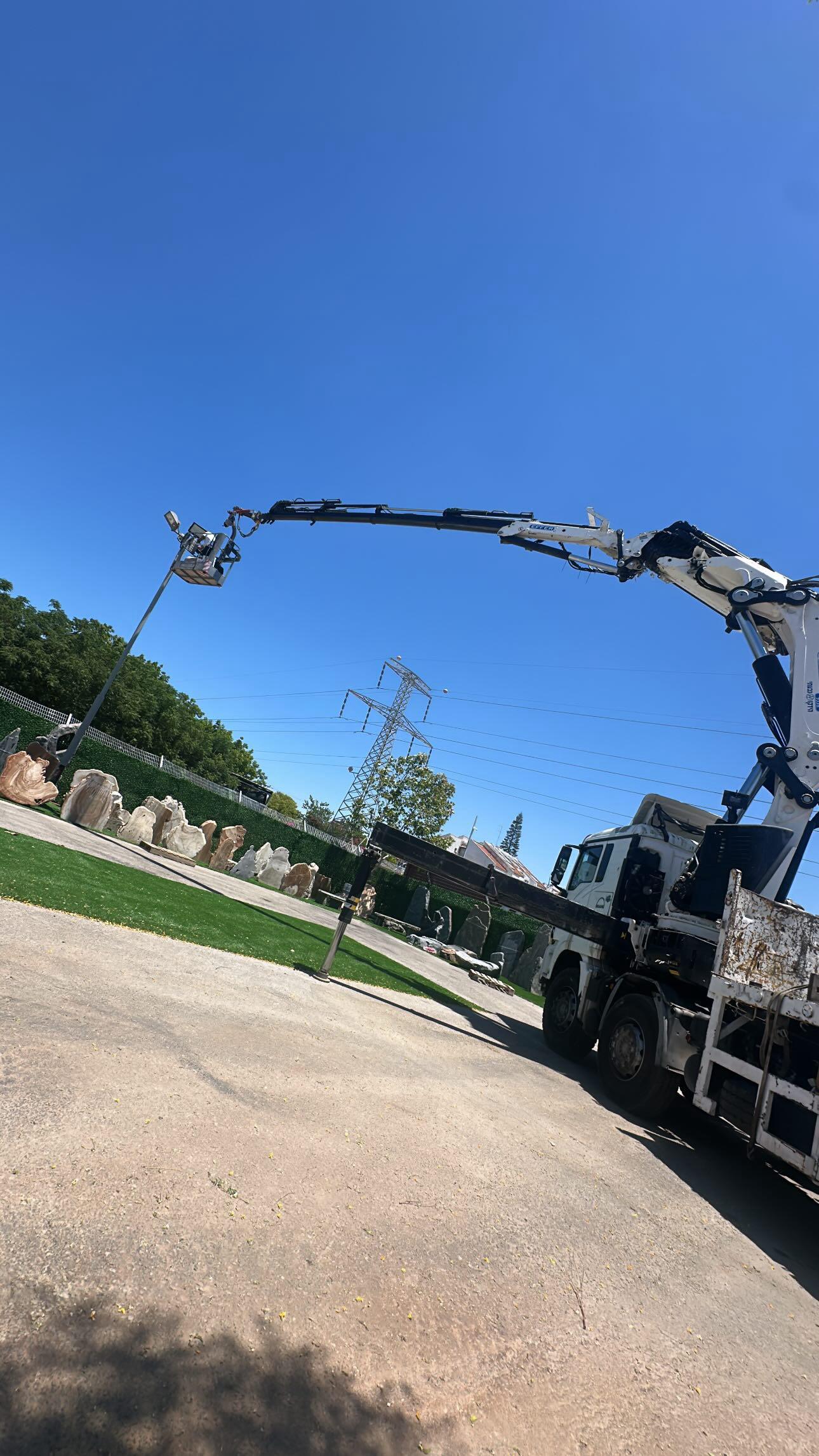 30620253